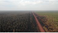 Aerial view of the damage caused by wildfires in Otuquis National Park, in the Pantanal ecoregion of southeastern Bolivia, on August 27, 2019.   AFP / Pablo COZZAGLIO
