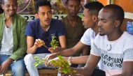 Ousman Abdulahi (R) and his friends chew khat at a road side dealer's shop in an area known as 'Little Mogadishu' in Addis Ababa on July 23, 2019. AFP / Michael Tewelde 