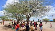 Traditional Samburu tribes-people shelter in the shade of an acacia at Merille livestock market, some 411km north of Nairobi, in Marsabit county on April 30, 2019. AFP/Tony Karumba