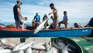 Fishermen pulling in fish caught in their nets off the coast of Mahe in the Seychelles islands on February 21, 2018. AFP Photo / The Nature Conservancy / Tate Drucker