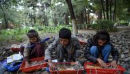 Young vendors Sabir (L), 11, Abdull Aziz (C), 12, and Tella Mohammad (R), 11, prepare dried fruits as they wait for customers at the Shahr-e-Naw Park in Kabul on October 6, 2019.  AFP / Wakil Kohsar


