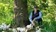 Cooks Venture CEO Matthew Wadiak with the company's heirloom chickens at their 800-acre farm in Arkansas, United States. Photo Credit: Cooks Venture