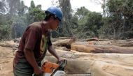 A man from the Embera tribe cuts trees which had been cut by a private logging company in the community of La Pulida in Darien, Panama, in an area used by Colombian rebels to smuggle drugs, February 17, 2010.