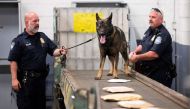 Officers from the Customs and Border Protection, Trade and Cargo Division work with a dog to check parcels at John F. Kennedy Airport's US Postal Service facility on June 24, 2019 in New York. AFP / Johannes Eisele 