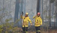 Firefighters look for spot fires in Old Bar, 350km north of Sydney on November 11, 2019. AFP / PETER PARKS
