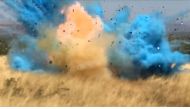 The still images taken from a video provided by the US Forest Service show the moment a gender-reveal party sparked a wildfire in Green Valley, Arizona in April 2017. AFP / US Forest Service