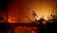 FILE PHOTO: Burnt trees are pictured during a forest fire in Kapuas regency near Palangka Raya, Central Kalimantan province, Indonesia, October 3, 2019. REUTERS/Willy Kurniawan/File Photo