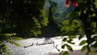 A view of the Moskitia forest area in Central America. Handout: Braden Gunem 