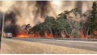 Flames engulf a row of trees. New South Wales, Australia. December 21, 2019. in this still image taken from social media video/Reuters
