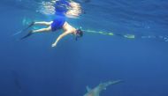 File photo: A tourist swims with a sandbar shark on a cageless shark dive tour in Haleiwa. Hawaii, February 16, 2015. Reuters / Hugh Gentry