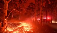 :Burning embers cover the ground as firefighters (back R) battle against bushfires around the town of Nowra in the Australian state of New South Wales on December 31, 2019. / AFP / Saeed KHAN 