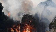  This picture taken on December 31, 2019 shows smoke and flames rising from burning trees as bushfires hit the area around the town of Nowra in the Australian state of New South Wales. Fire-ravaged australia has launched a major operation to reach thousan