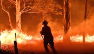 This picture taken on December 31, 2019 shows a firefighter hosing down trees and flying embers in an effort to secure nearby houses from bushfires near the town of Nowra in the Australian state of New South Wales.  AFP / Saeed Khan 
 