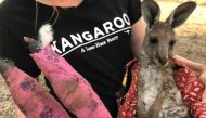 Wildlife Information, Rescue and Education Services (WIRES) volunteer and carer Tracy Dodd holds a kangaroo with burnt feet pads after being rescued from bushfires in Australia's Blue Mountains area, December 30, 2019. Reuters/Jill Gralow