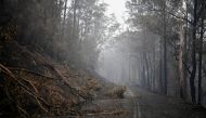 Fallen trees partially block roads in the fire-grounds near Eden, Australia January 7, 2020. REUTERS/Tracey Nearmy
 