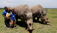 File photo: Children pose for a photograph next to Najin (R) and her daughter Fatou, the last two northern white rhino females, as they graze near their enclosure at the Ol Pejeta Conservancy in Laikipia National Park, Kenya March 31, 2018. Reuters/Thomas