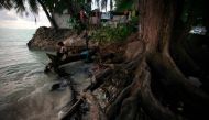 A girl sits on a log next to the roots of a tree which have been exposed as a result of high-tides near the village of Teaoraereke on South Tarawa in Kiribati nation, May 25, 2013. Reuters / David Gray