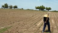 An Uzbek farmer tills a cotton field outside Tashkent farm, May 20, 2005. AFP / Denis Sinyakov