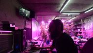 File photo: Georgian entrepreneur Shota Siradze works at a computer mining cryptocurrency inside a basement turned urban farm in Tbilisi, on March 12, 2019. Thomson Reuters Foundation / Umberto Bacchi