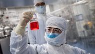 TOPSHOT - In this picture taken on April 29, 2020, an engineer looks at monkey kidney cells as he make a test on an experimental vaccine for the COVID-19 coronavirus inside the Cells Culture Room laboratory at the Sinovac Biotech facilities in Beijing. / 