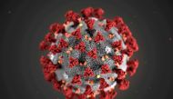 FILE PHOTO: The ultra-structural morphology exhibited by the 2019 Novel Coronavirus (2019-nCoV), which was identified as the cause of an outbreak of respiratory illness first detected in Wuhan, China, is seen in an illustration released by the Centers for
