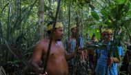 Satere-Mawe indigenous men collect medicinal herbs such as carapanauba, caferana and saratudo, all native plants of the Amazon rainforest, to treat people showing symptoms of the novel coronavirus COVID-19 in their community Wakiru, AFP / Ricardo Oliveira