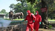 Indonesian fire fighters spray disinfectant next to elephants at the Ragunan Zoo ahead of its reopening in Jakarta on June 17, 2020. AFP / ADEK BERRY