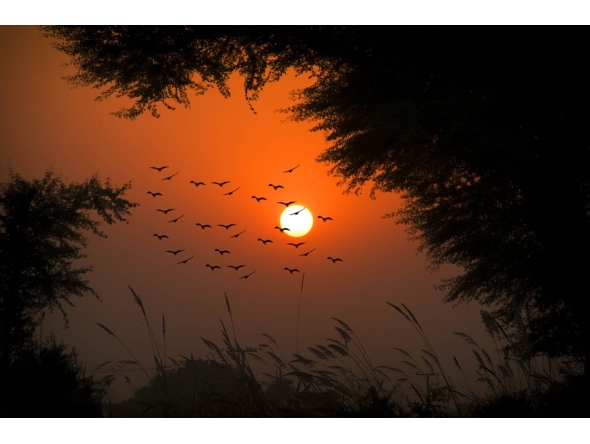 Representational image