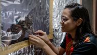 Jan Claire Dorado, 30, a doctor assigned to the coronavirus disease (COVID-19) Emergency Room of East Avenue Medical Center, bonds with her family's cat from behind the small plastic window on her makeshift isolation room to protect her family from potent