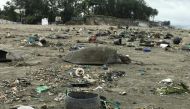 A dead sea turtle is seen on a beach in Cox's Bazar on July 12, 2020. Bangladesh green activists said on July 12 hundreds of sea turtles have floated ashore and at least 20 were killed as tonnes of plastic wastes invaded the world's largest unbroken beach