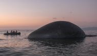 This picture taken on July 21, 2020 shows local officials inspecting the bloated carcass of a whale near the shore in Kupang, in East Nusa Tenggara. A giant 23 metre (75 foot) whale briefly washed up near a beach in Indonesia but it was unclear how the en