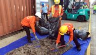 (FILES) In this file photo taken and released by Vietnam News Agency on May 23, 2019, officials sort seized pangolin scales at a port in southern Vietnam's Ba Ria Vung Tau province. . / AFP / Vietnam News Agency / -

