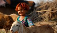 A girl reacts while she stands with sheep outside of her family tent along a cattle market, ahead of the Eid al-Adha festival, as the outbreak of the coronavirus disease (COVID-19) continues, in Peshawar, Pakistan July 23, 2020. REUTERS/Fayaz Aziz

