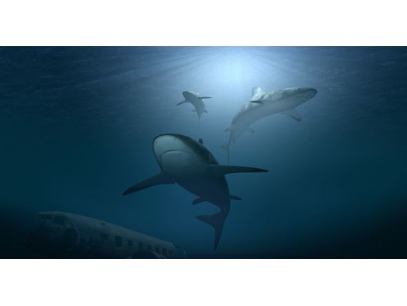 Representational photo