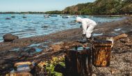 A volunteer cleans oil spilled from the bulk carrier ship MV Wakashio, belonging to a Japanese company but Panamanian-flagged, that ran aground on a reef, at the Mahebourg Waterfront in Riviere des Creoles, Mauritius, August 12, 2020. REUTERS/Stephane Ant
