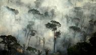 FILE PHOTO: Amazon Forest / REUTERS