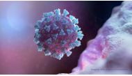 FILE PHOTO: A computer image created by Nexu Science Communication together with Trinity College in Dublin, shows a model structurally representative of a betacoronavirus which is the type of virus linked to COVID-19, better known as the coronavirus linke