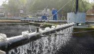 Dr Francis Hassard and Nigel Janes sample partially treated wastewater for the coronavirus disease (COVID-19) as part of a study at the Cranfield University Wastewater Treatment Works in Cranfield in Cranfield, Britain in this undated photograph. Christia