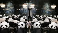 Fluffy toy panda bears as part of the art installation 