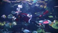 A diver dressed as Santa Claus dives at Sea Life aquarium in Bangkok, Thailand December 22, 2020. Reuters/Soe Zeya Tun