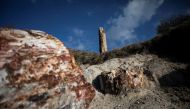Fossilised trees are seen at the Petrified Forest National Park on the island of Lesbos, Greece, January 21, 2021. Picture taken January 21, 2021. REUTERS/Elias Marcou
