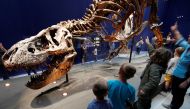 Visitors look at a 67 million year-old skeleton of a Tyrannosaurus Rex dinosaur, named Trix, during the first day of the exhibition 