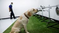 A dog that has been trained to sniff out the coronavirus disease (COVID-19), screens a sweat sample at Chulalongkorn University, in Bangkok, Thailand May 21, 2021. Reuters/Jorge Silva