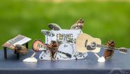 Cicadas are posed in a band scene by Virginia photographer and cicada enthusiast Oxana Ware in Arlington, Virginia, US, in this May 2021 handout photo. Oxana Ware/Handout via Reuters 