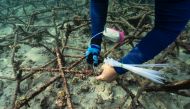 Pariama Hutasoit, a 52-year-old coral reef conservationist, uses cable ties to attach a piece of coral into the structure known as Reef Star, which are steel rods coated with sand, at a coral reef garden in Nusa Dua, Bali, Indonesia, May 28, 2021. Picture