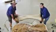 Dr. Scott Hocknull and Robyn Mackenzie pose with a 3D reconstruction and the humerus bone of 