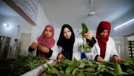 Palestinian women collect tree leaves in Gaza City July 28, 2021. Reuters/Mohammed Salem