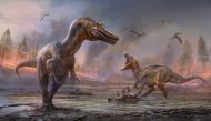 The meat-eating dinosaurs Ceratosuchops inferodios, in the foreground, and Riparovenator milnerae, in the background are seen in an undated artist's rendition. Fossils of these two Cretaceous Period dinosaurs were discovered on England’s Isle of Wight. An