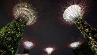 Artificial tree-like structures called Supertrees are seen before lights were switched off to commemorate Earth Hour, at Gardens By the Bay, in Singapore, March 27, 2021. Reuters/Dawn Chua/File Photo