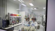 Lab employees of Spanish pharmaceutical company Hipra work at its headquarters in Amer, near Girona, Spain, December 2, 2021. Picture taken December 2, 2021. REUTERS/Nacho Doce